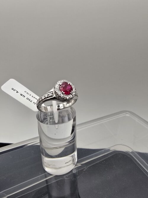 Anello in Oro Bianco 18 Kt con Rubino e Diamanti Pavè